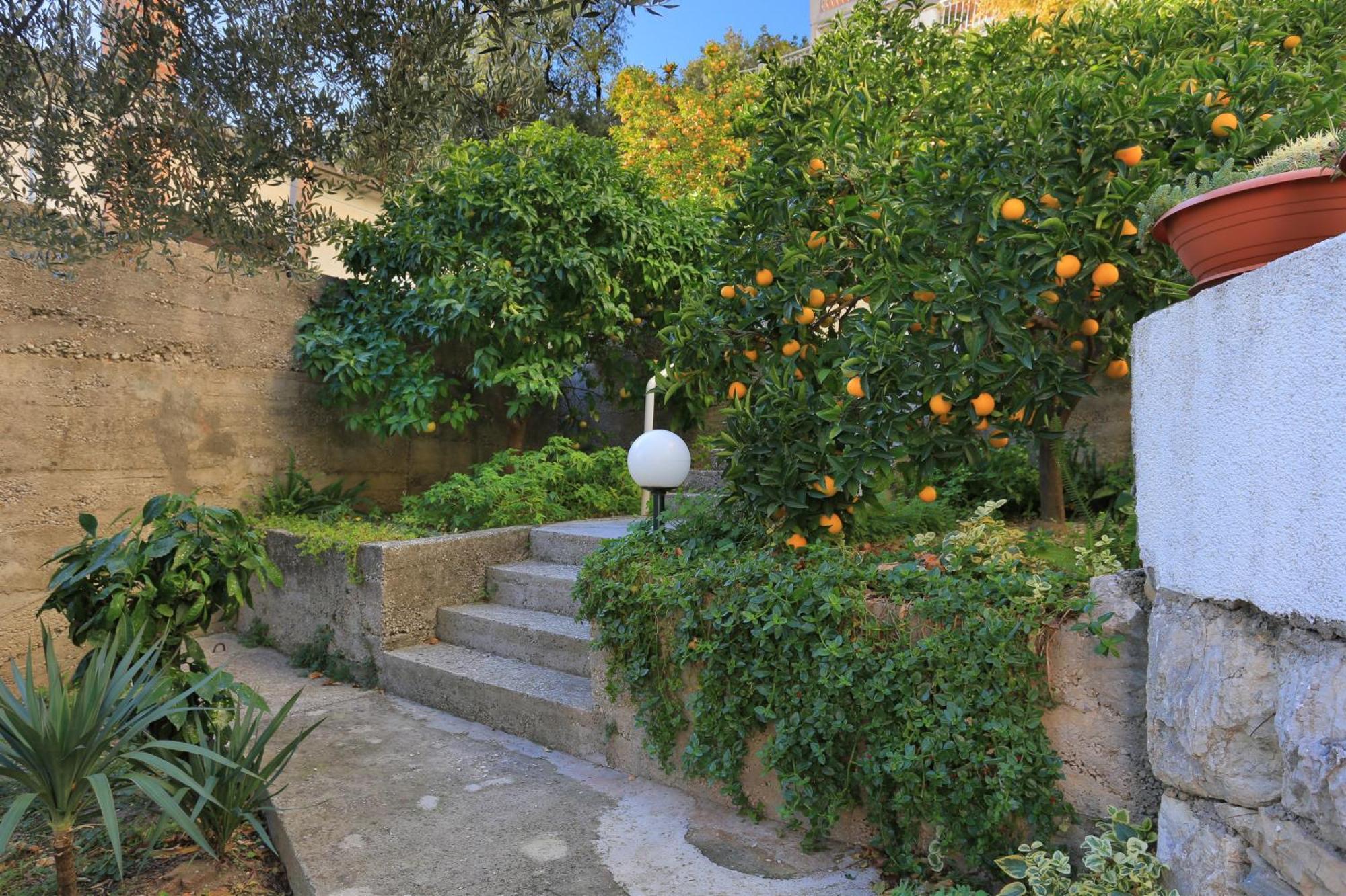 Apartments By The Sea Podgora, Makarska - 2593 מראה חיצוני תמונה